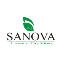 PT. SANOVA